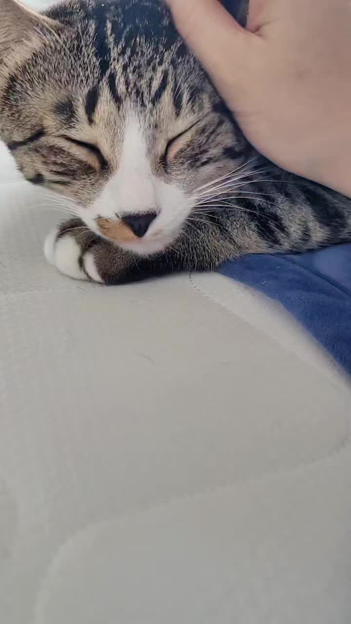 @민길이