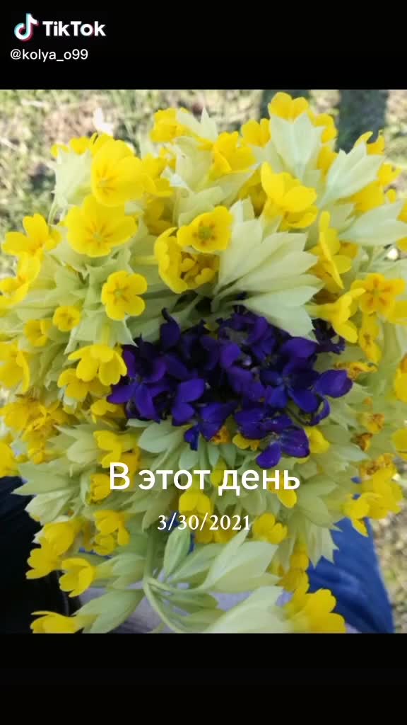 @CEBI SEMKIRISKI 57