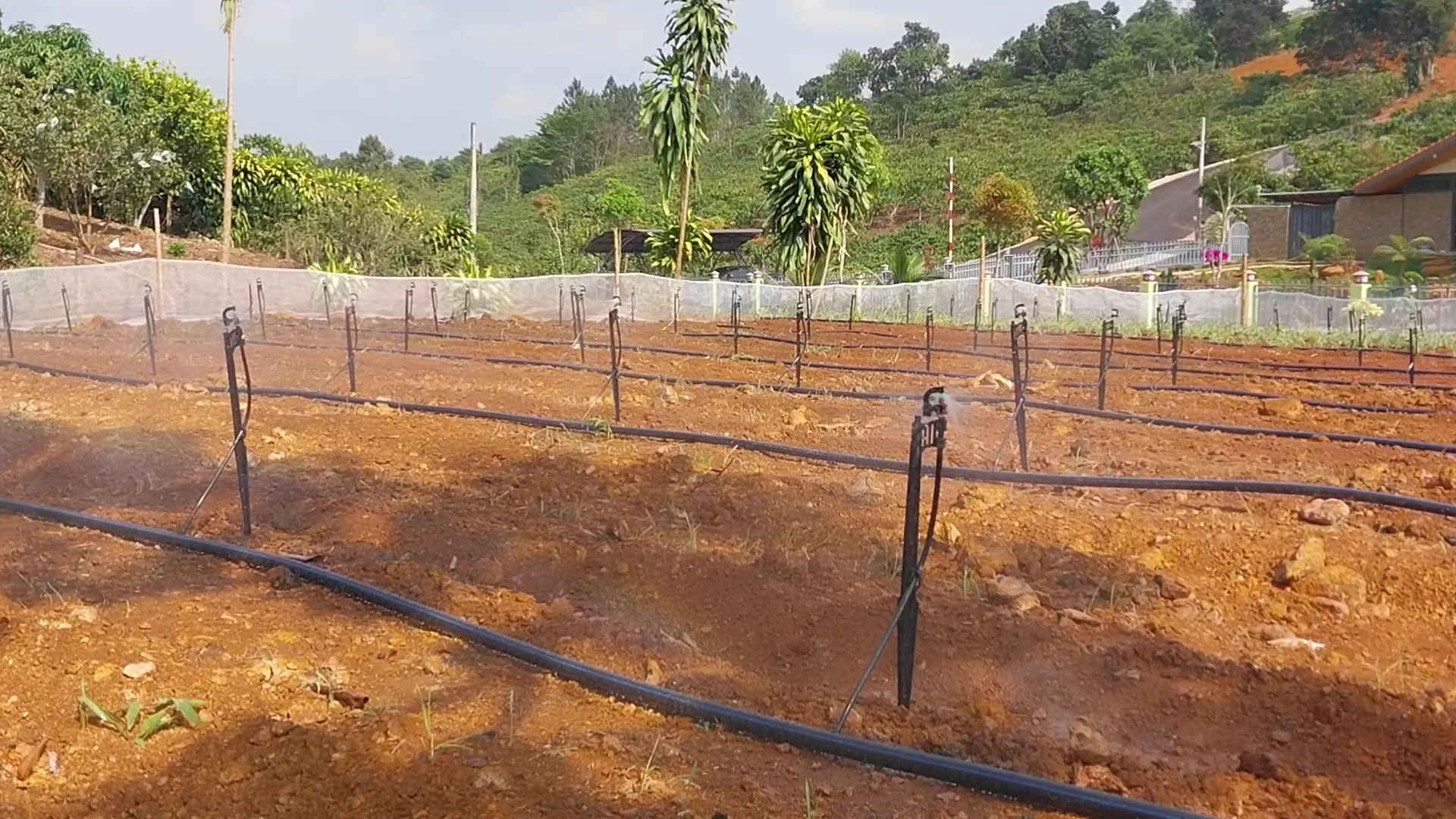 @Vườn nhà Tuyết