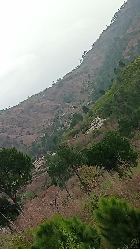 @Jaleel Raja358