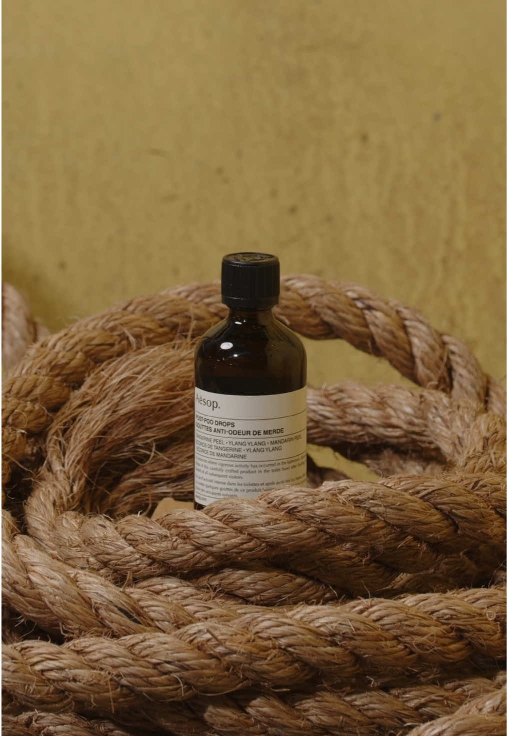 @Aesop