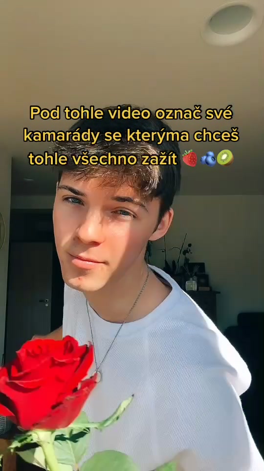 @Andrej Somberg