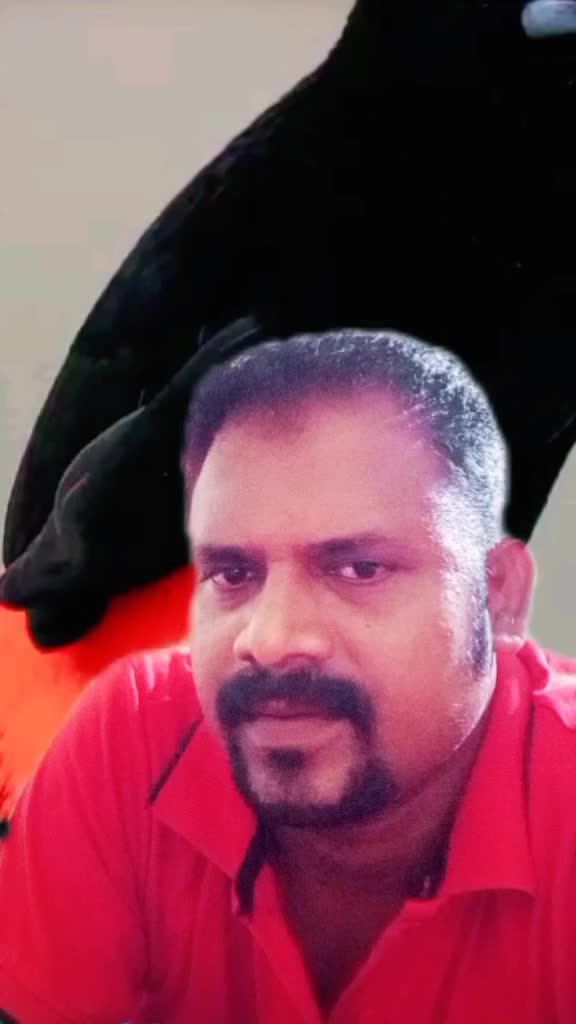 @RajuBhai