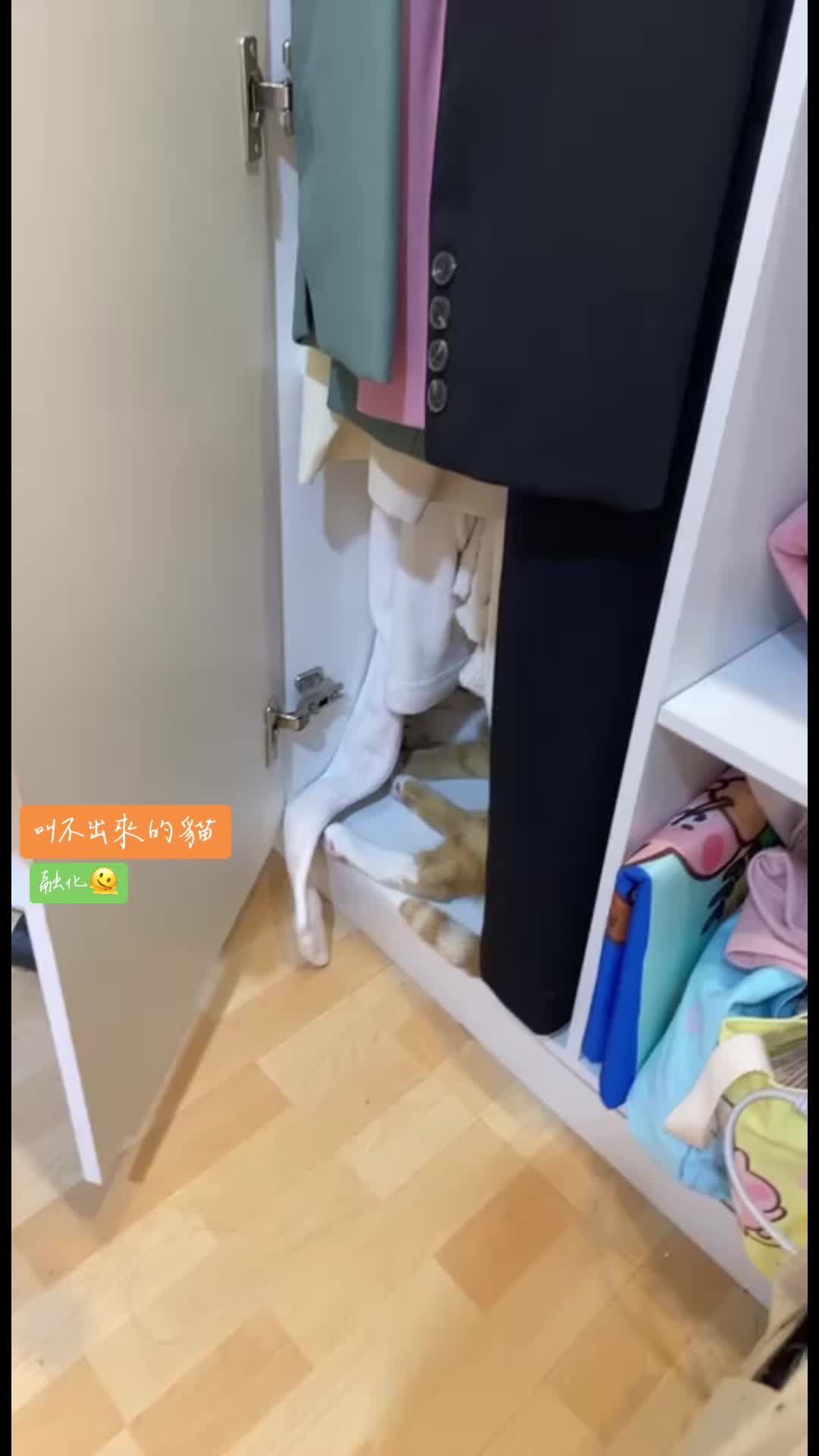 @柑仔弟弟