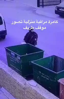 @تغطيات صقر_101