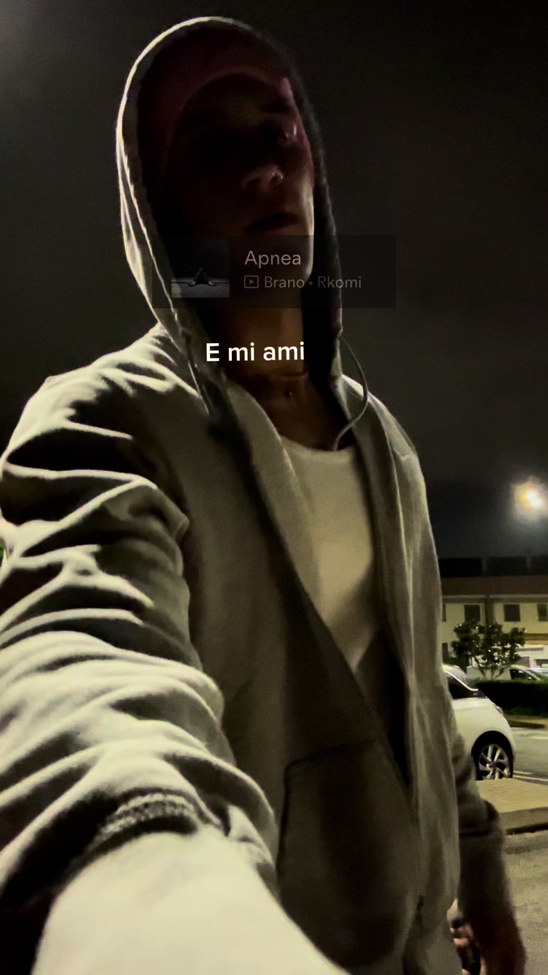 @aleale1310