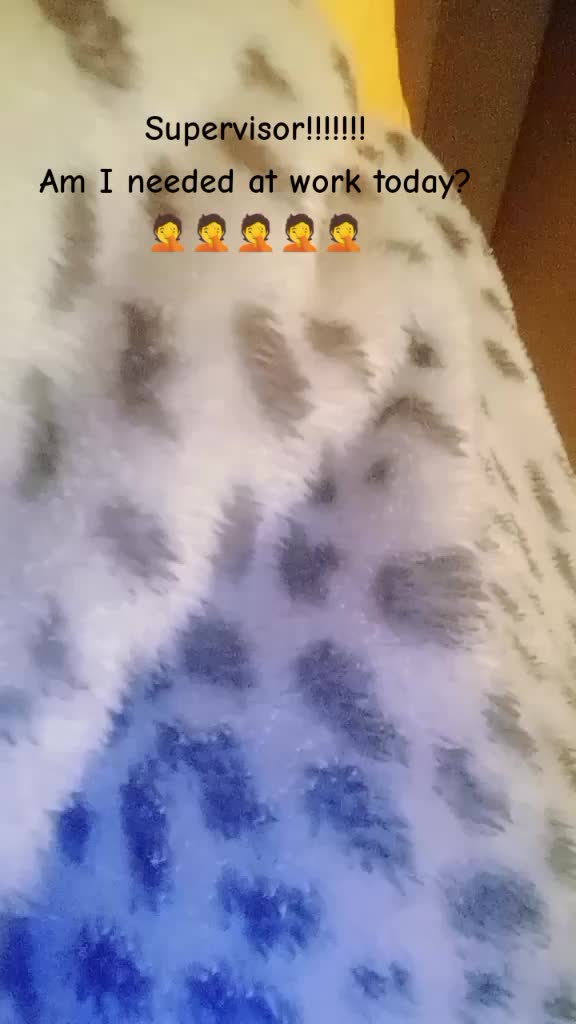 @TORIA07