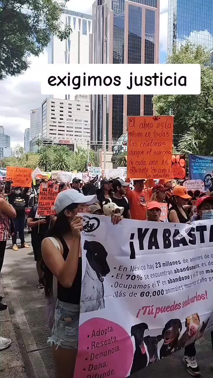 @Daris.moral