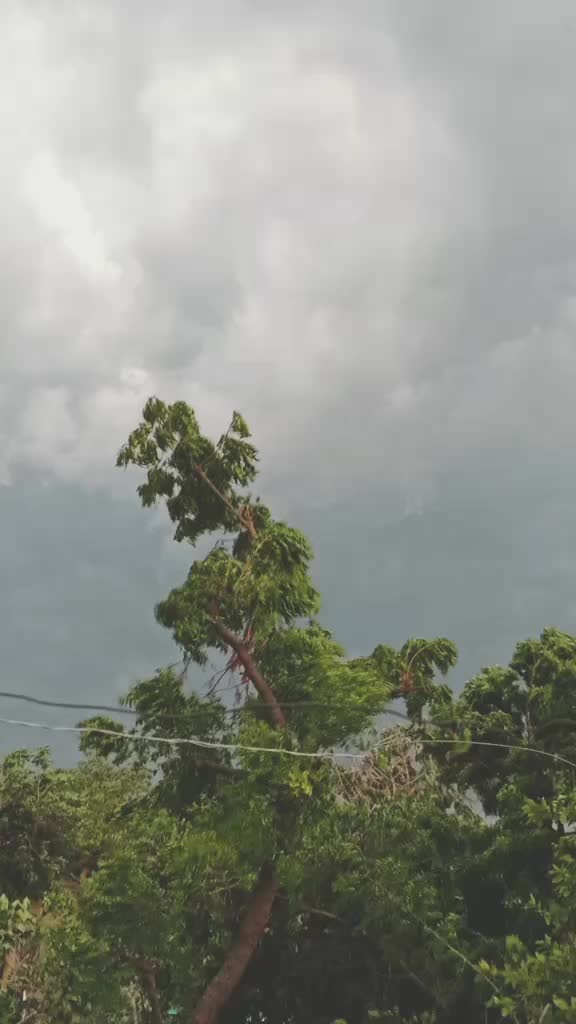 @☺️🍁দোলা🍁☺️