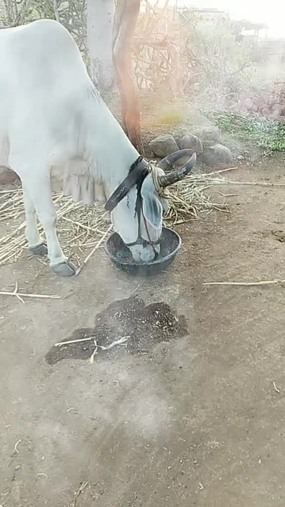 @Bharat Patil