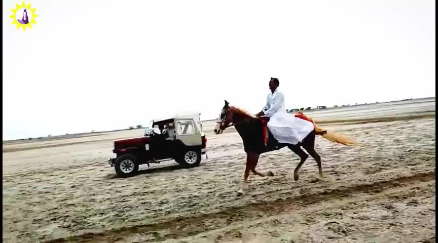 @Samir_Malek
