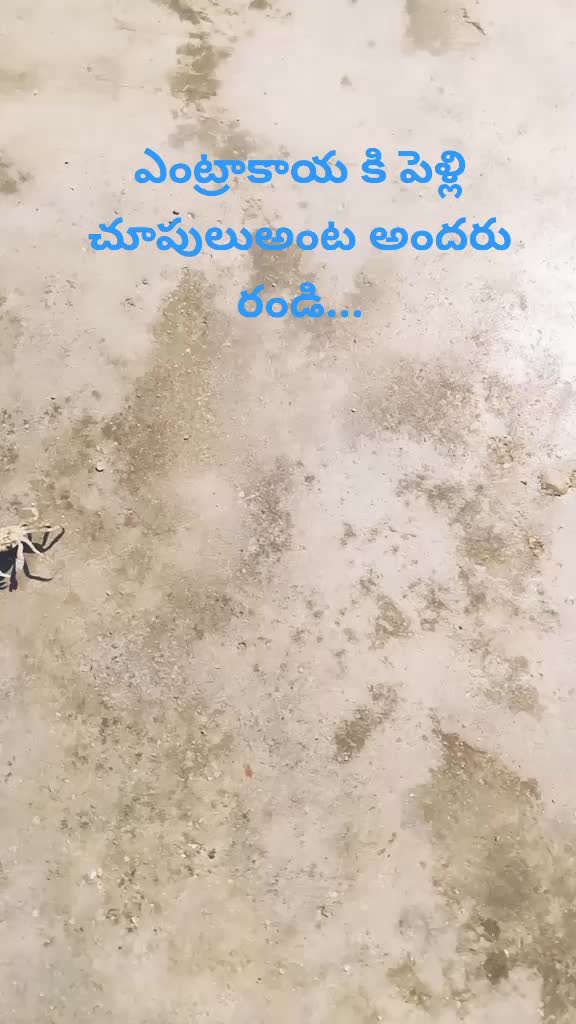 @Siva Vaila