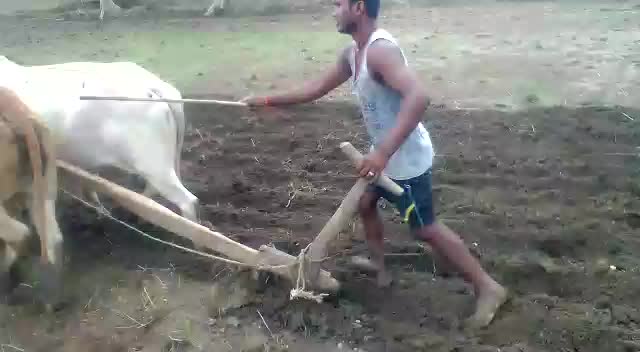 @lakush yadav