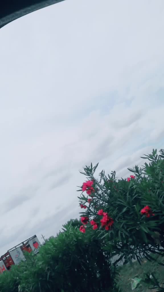 @daccu301766