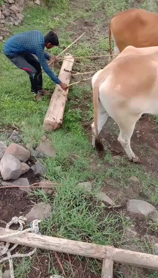 @Krishna Gaikawad