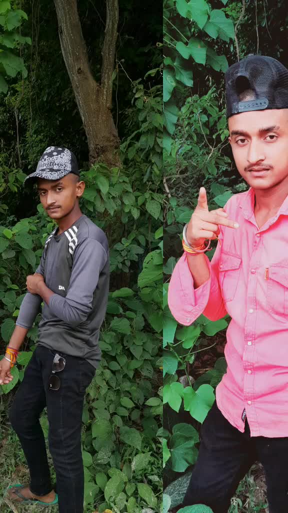 @monajkumar8689