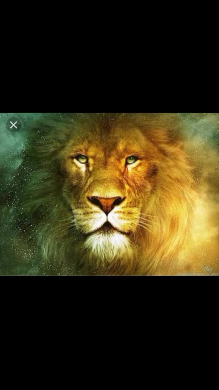 @user9433350176497