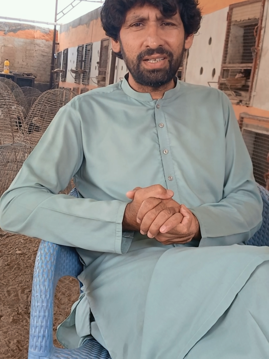 @Sajjad Aseel Farm