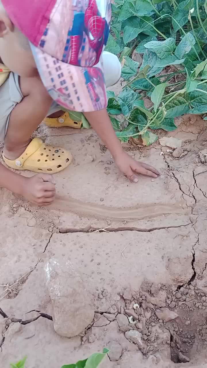 @hanifemalim