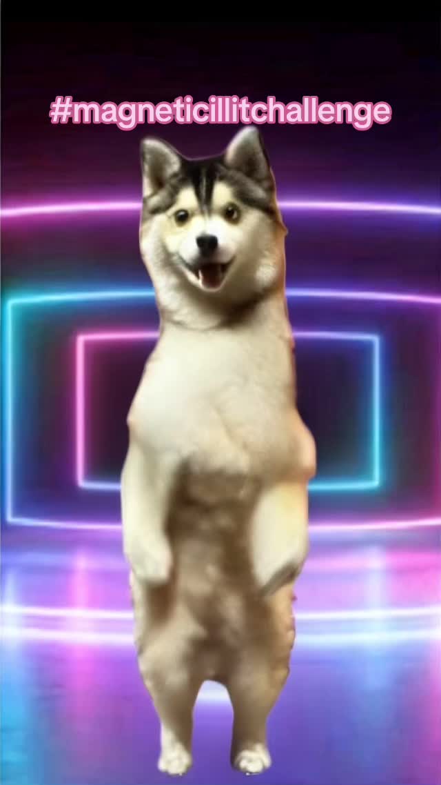 @Goofy Dawg