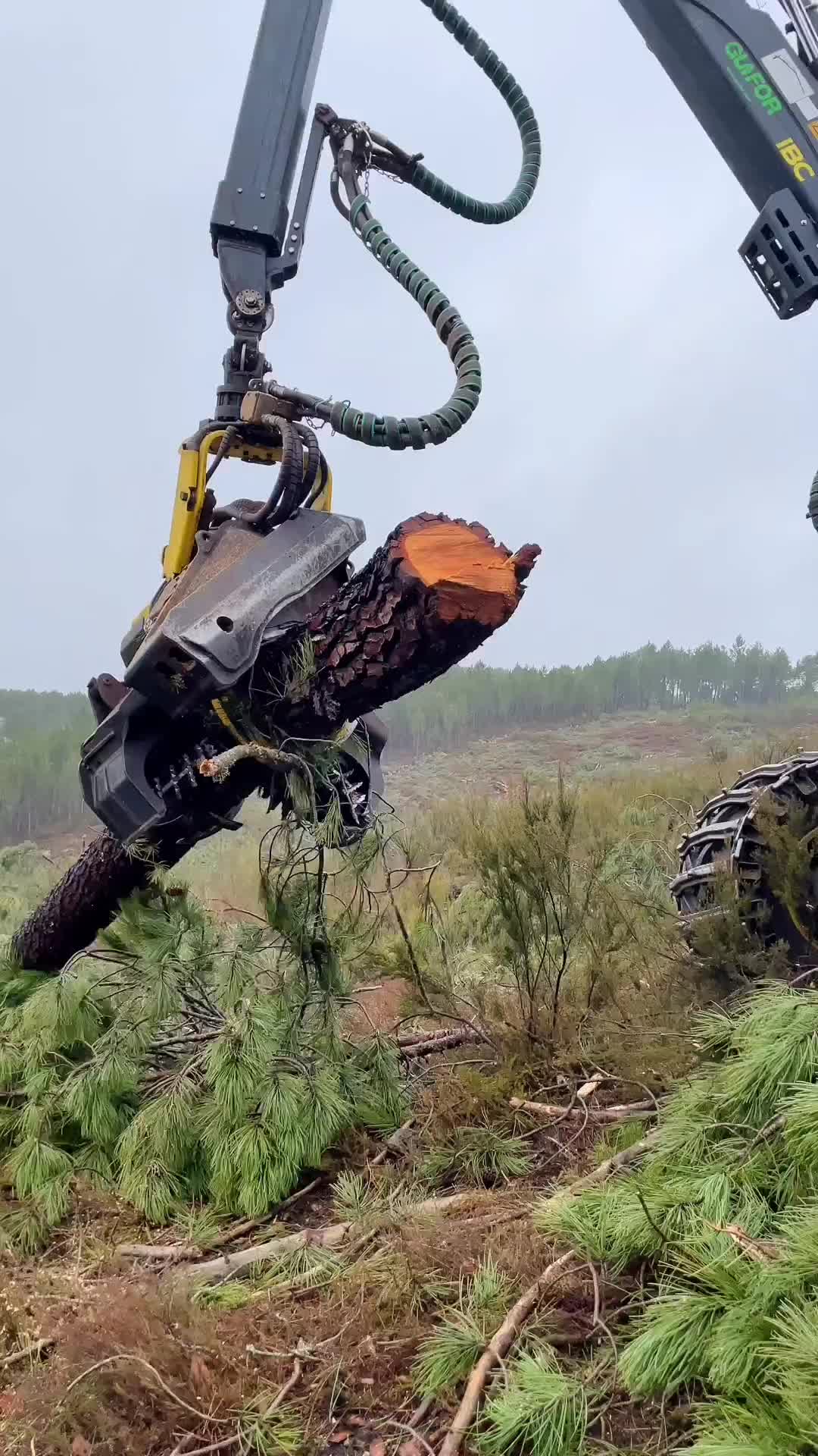 @Machine Reviews