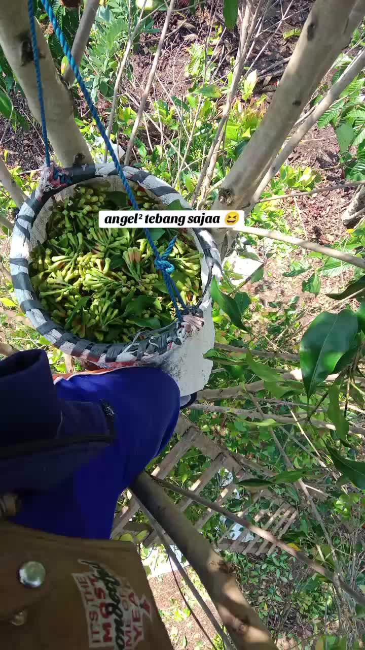 @kiting_05
