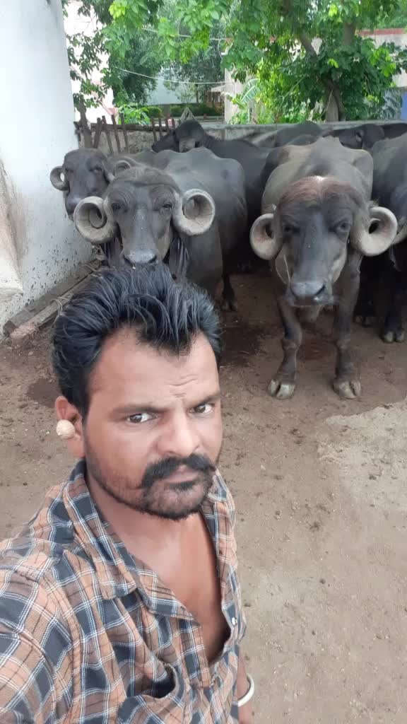 @દેપાલ ભાઇ વાલા
