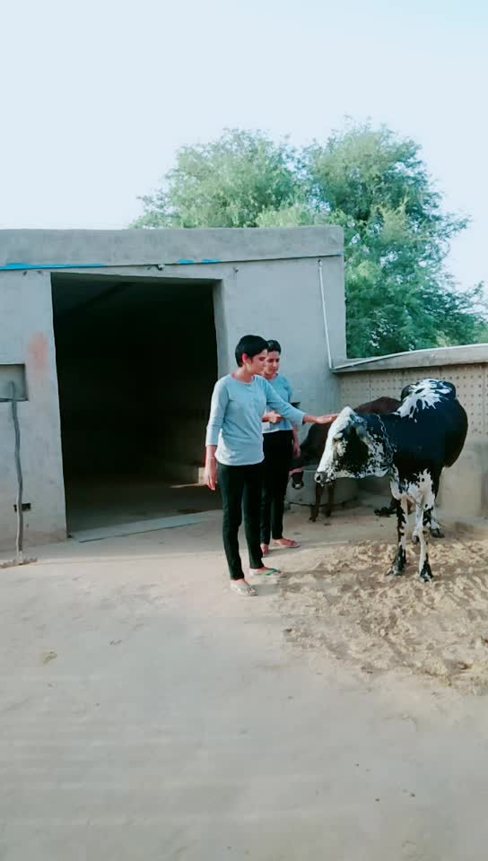 @Ritu jhajhariya