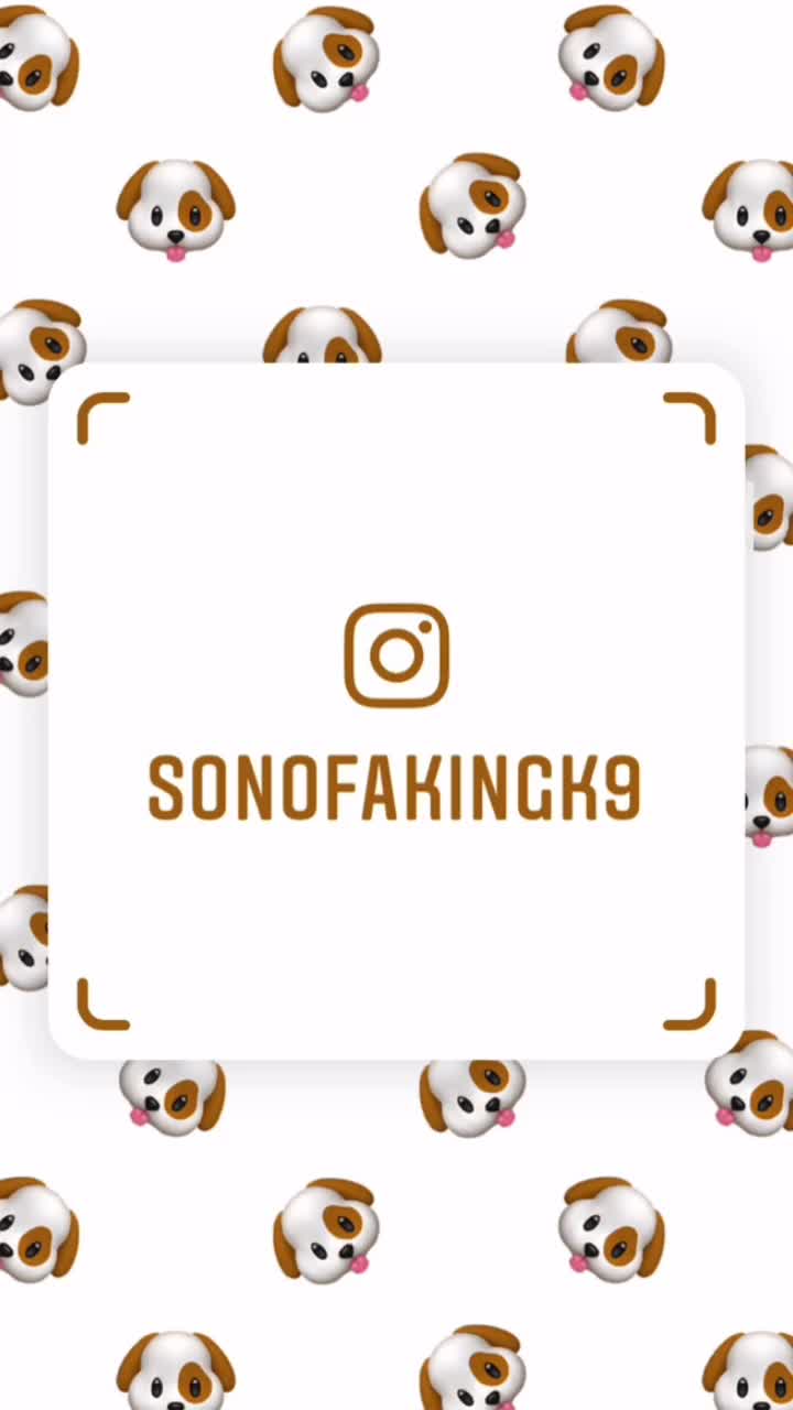 @Son of a KING K9