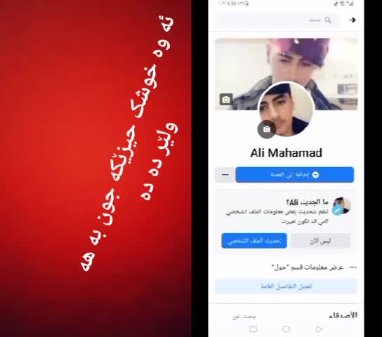@rebomalikm
