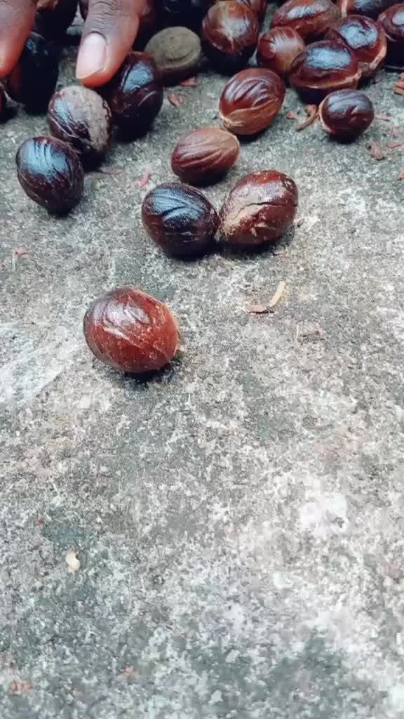 @Justin P Thankachan
