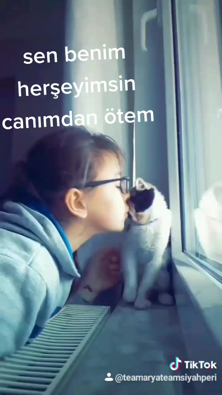 @ferideft
