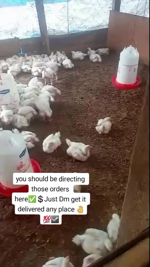 @issa farm📉