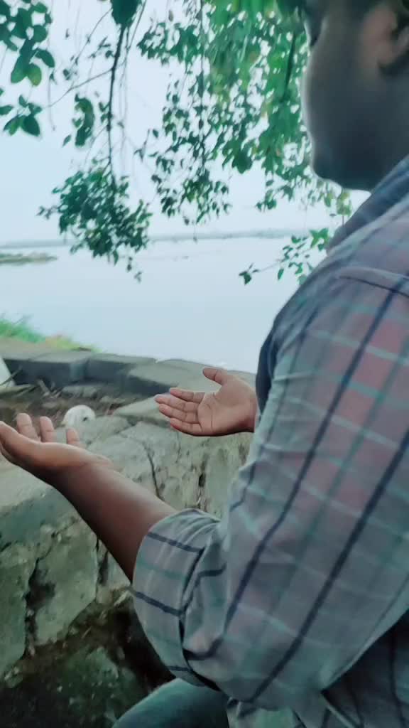 @Kumar Amiya