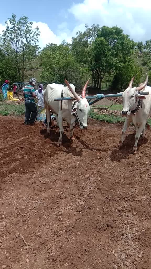@आम्ही कराडकर