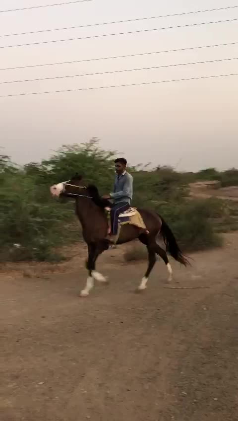 @vishvajit_sinh_9