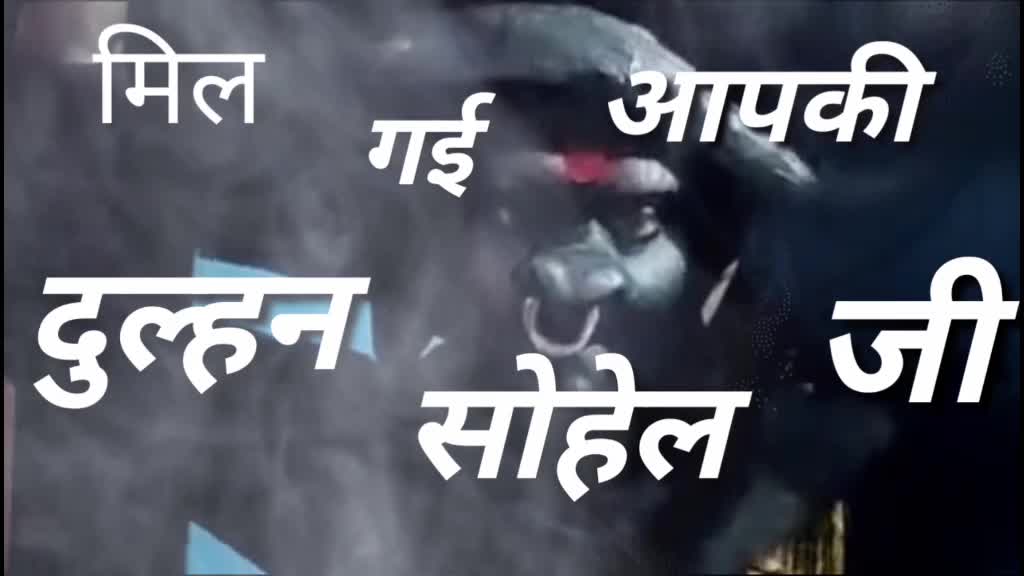 @Samir Shaikh