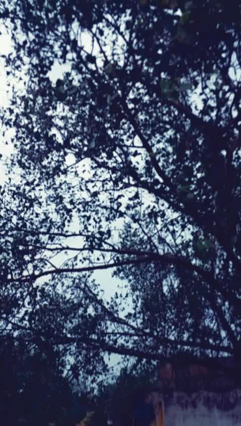 @❤_A_D_I_T_Y_A_❤