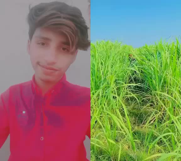@amirbhawlpuri 😎
