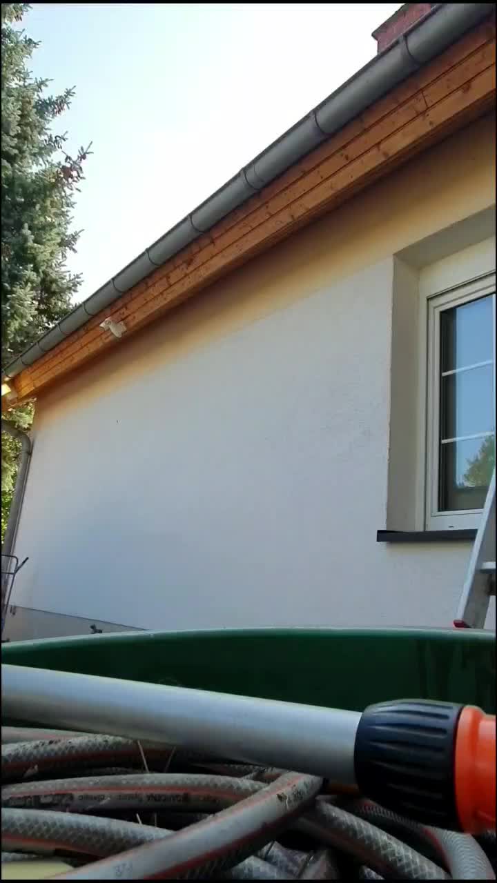 @Dirty Roofer