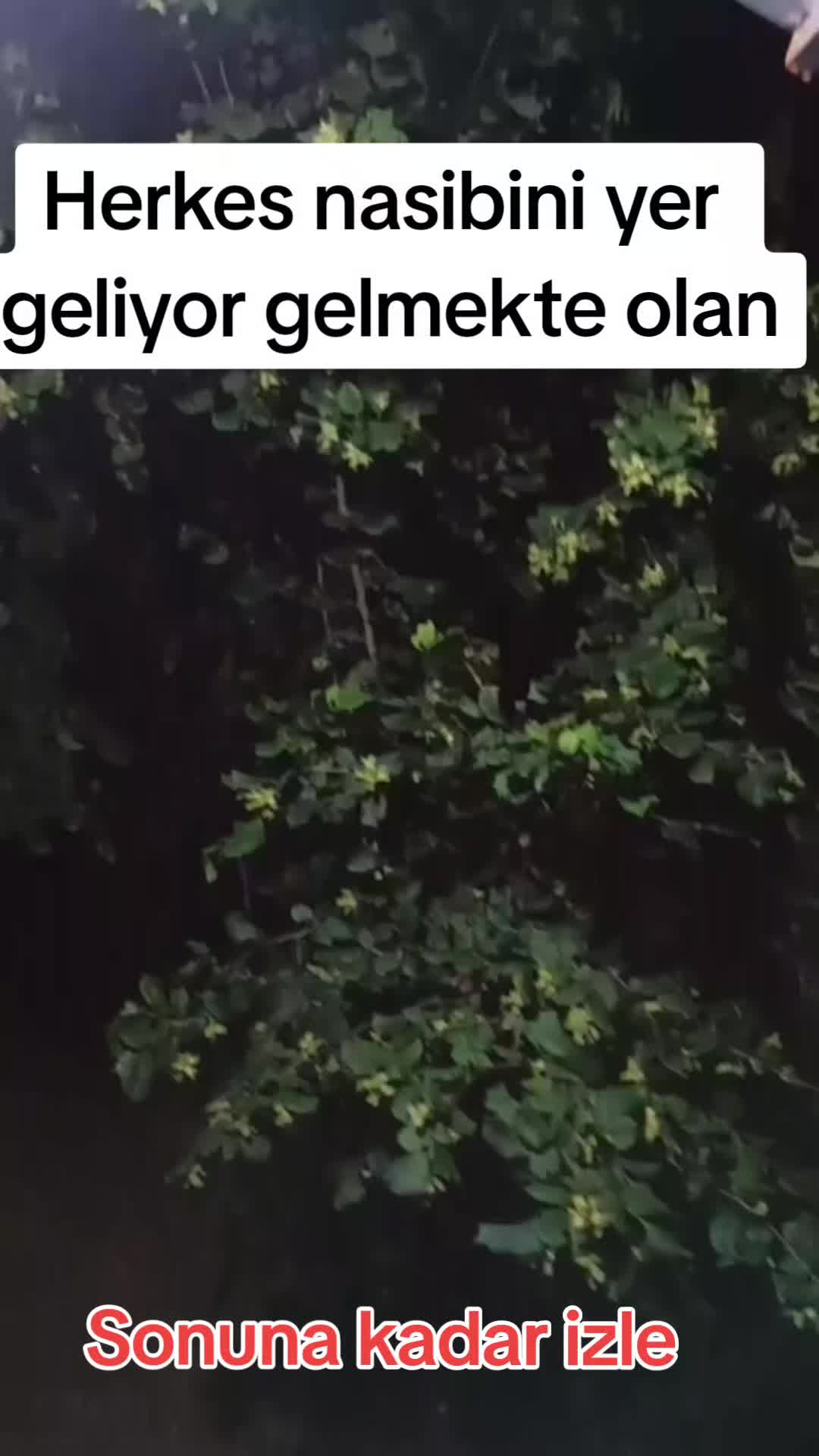 @Nail samastı