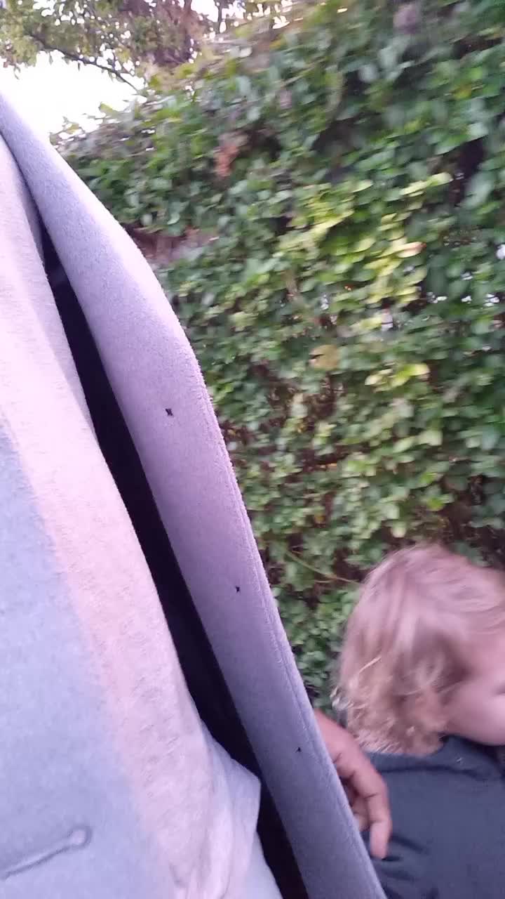 @RidiculousMike