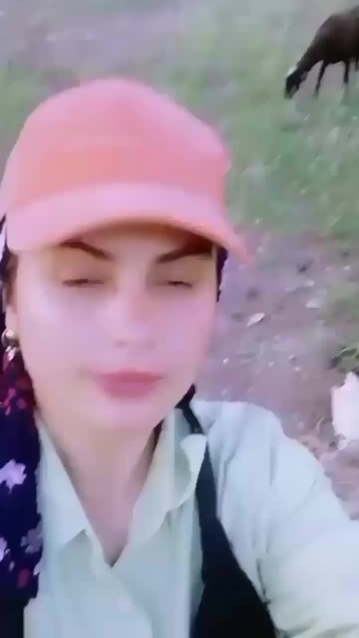 @mizgin
