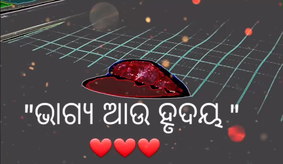 @Bapi Lucky,499