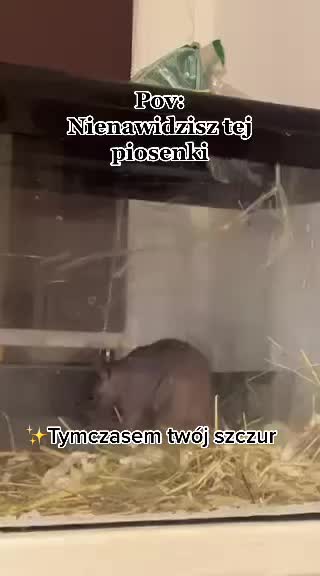 @Jestem Patryk