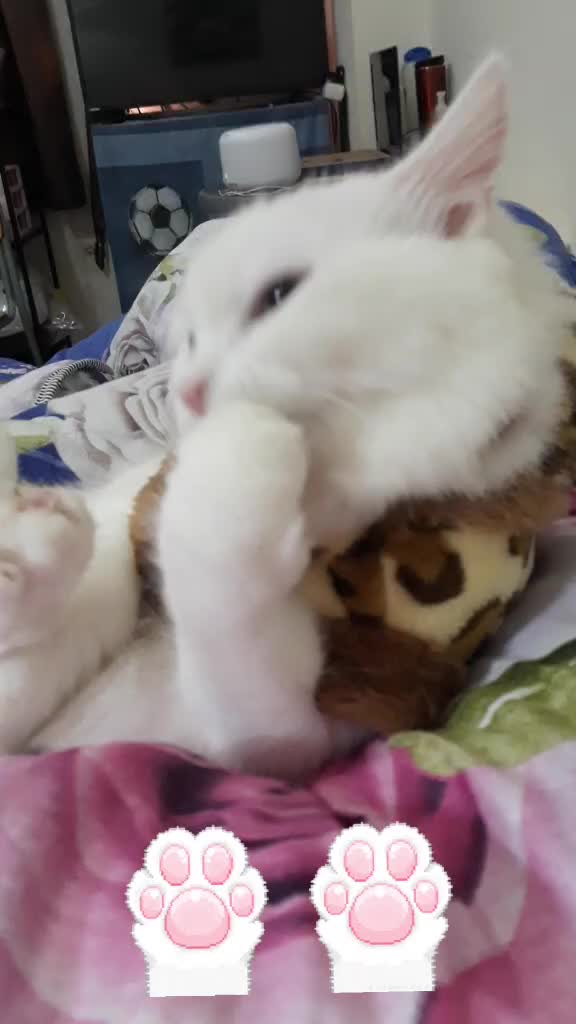 @SikongSimongChikong