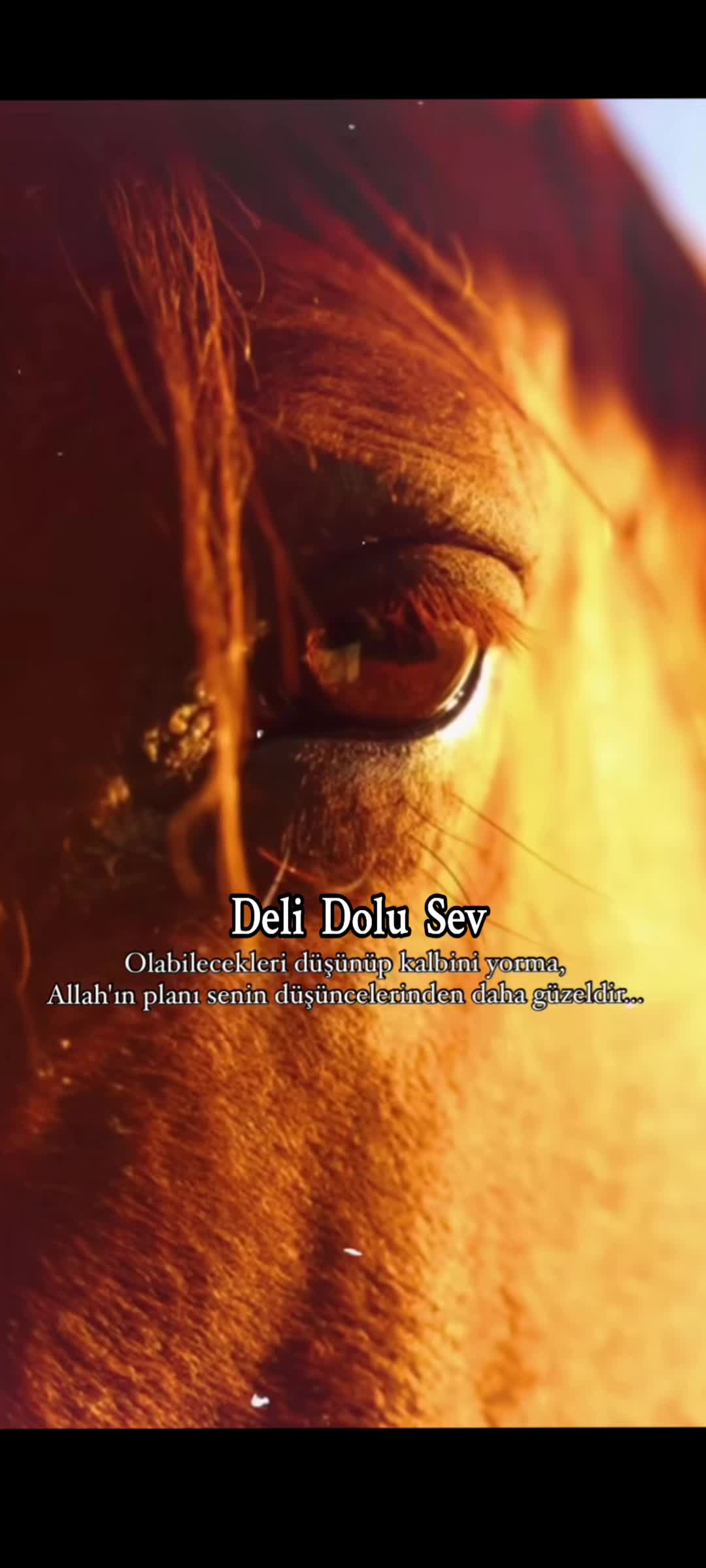 @~ Deli Dolu Sev ~