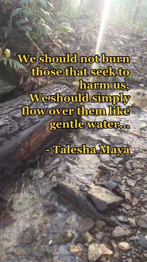@Talesha Maya