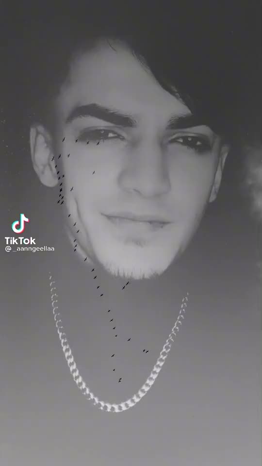 @ferdi 6767