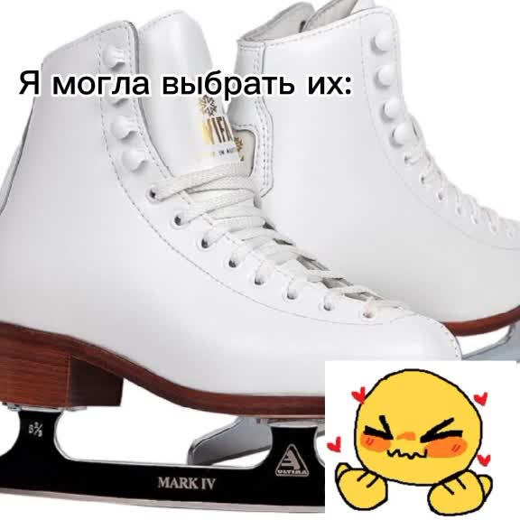 @🐹𝚋𝚎𝚋𝚛𝚒𝚔❄️